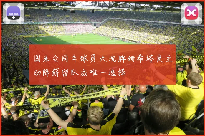 国米合同年球员大洗牌姆希塔良主动降薪留队成唯一选择